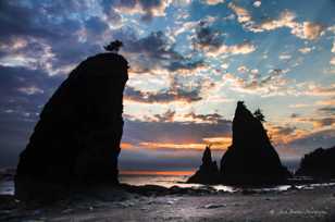 Rialto Beach sunset-2497